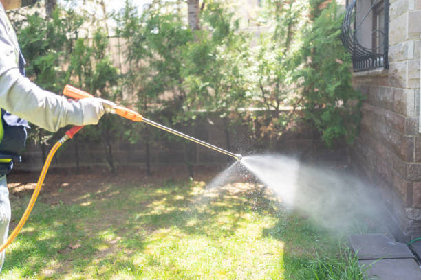 Best Wasp Removal Services  in Superior, WI