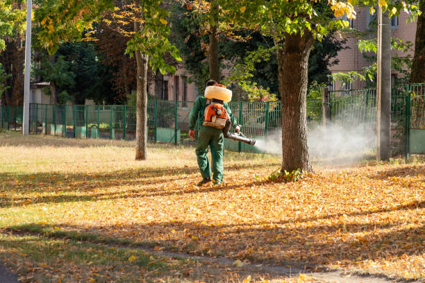 Best Bird Control  in Superior, WI