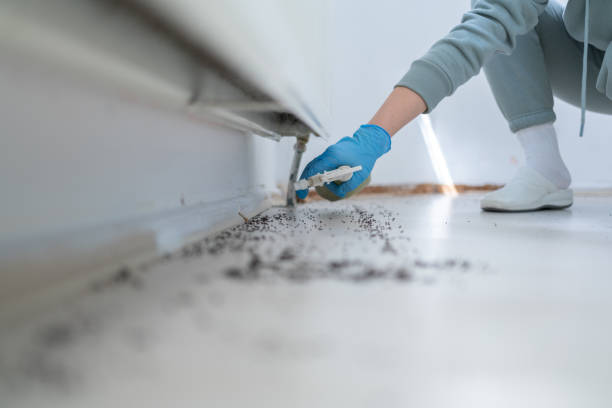 Best Emergency Pest Control  in Superior, WI